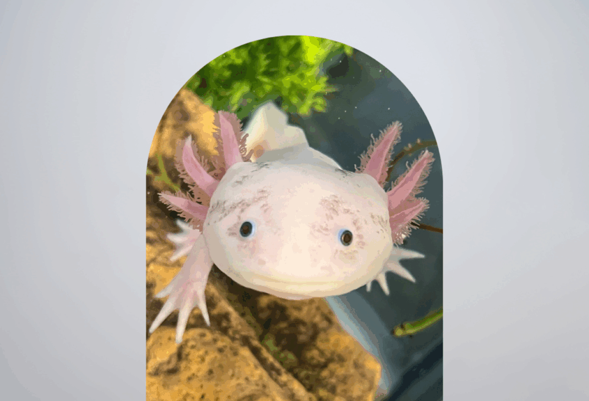 1097x747 website banner & staff headshots (5)